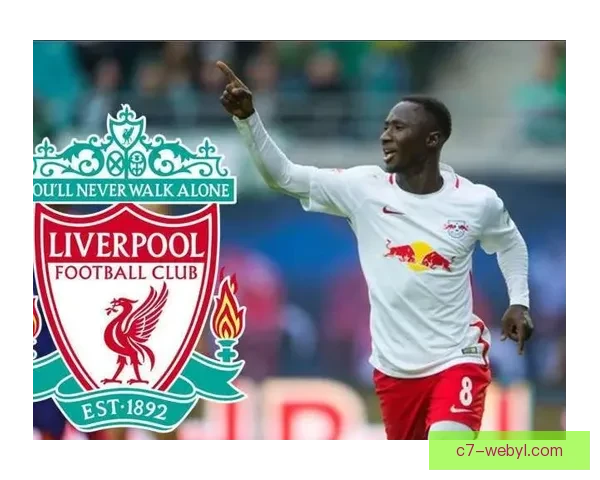 雷恩转会市场案例深度解析答疑